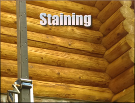  New Bavaria, Ohio Log Home Staining